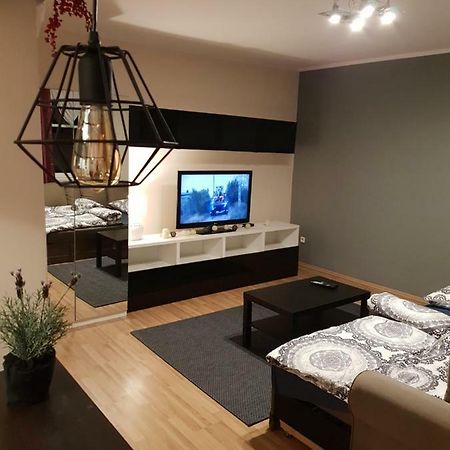 Apartamenty Hetmanska - 24H Shop Katowice Kültér fotó