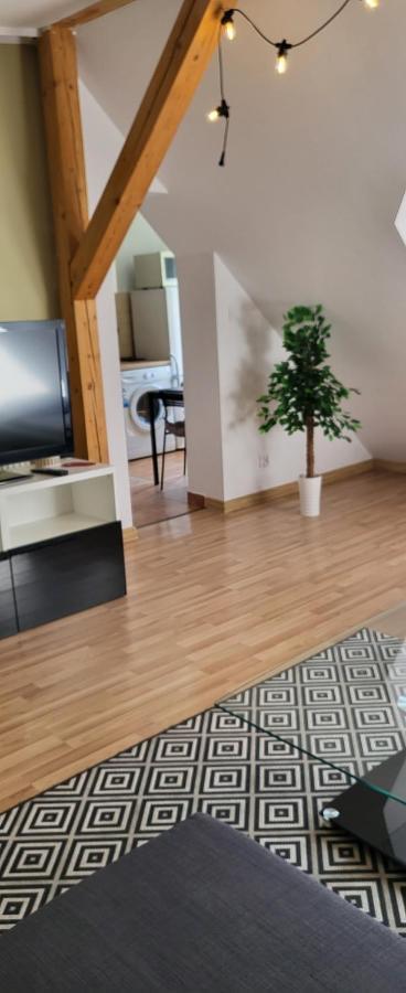 Apartamenty Hetmanska - 24H Shop Katowice Kültér fotó